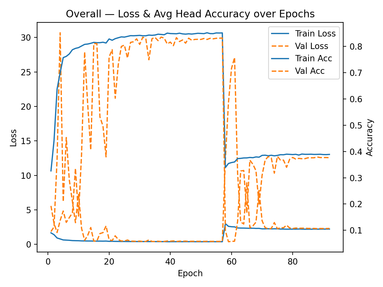 Letter-head training and validation loss/accuracy curves over the multi-task training run.